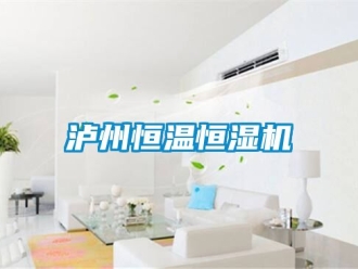 知識百科瀘州恒溫恒濕機
