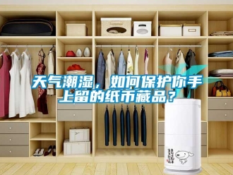 常見問題天氣潮濕，如何保護(hù)你手上留的紙幣藏品？