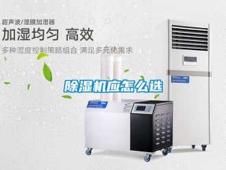 常見問題除濕機應怎么選