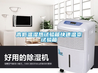 常見問題高低溫濕熱試驗箱快速溫變試驗箱