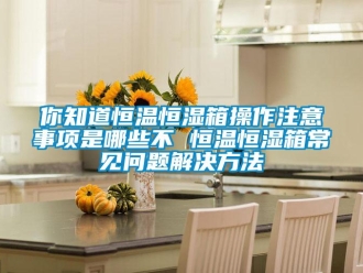 知識百科你知道恒溫恒濕箱操作注意事項是哪些不 恒溫恒濕箱常見問題解決方法