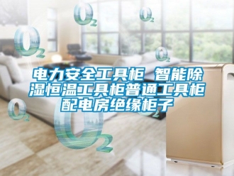 知識百科電力安全工具柜 智能除濕恒溫工具柜普通工具柜配電房絕緣柜子