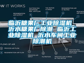 常見問題臨沂糖果廠工業(yè)除濕機(jī) 沂水糖果廠除潮 臨沂工業(yè)除濕機(jī) 沂水車間工業(yè)除潮機(jī)