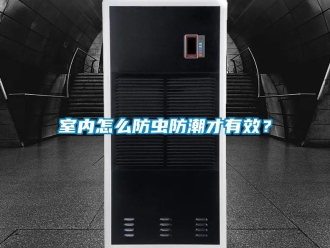 常見問題室內(nèi)怎么防蟲防潮才有效？