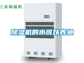 企業新聞除濕機的水可以養魚