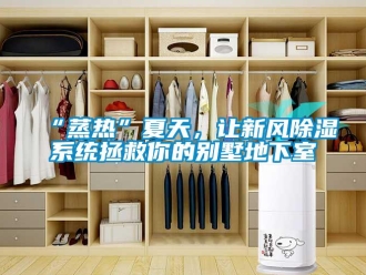 企業新聞“蒸熱”夏天，讓新風除濕系統拯救你的別墅地下室