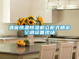 知識百科酒窖恒溫恒濕機(jī)立柜式精密空調(diào)設(shè)備現(xiàn)場