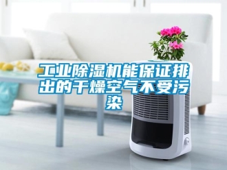 企業新聞工業除濕機能保證排出的干燥空氣不受污染