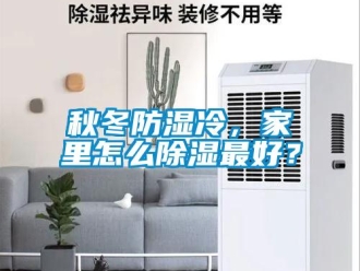 常見問題秋冬防濕冷，家里怎么除濕最好？