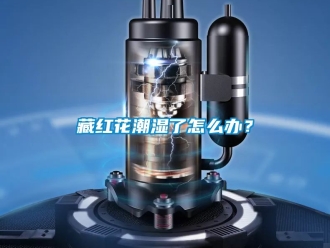 企業(yè)新聞藏紅花潮濕了怎么辦？