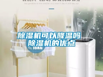 行業新聞除濕機可以降溫嗎 除濕機的優點