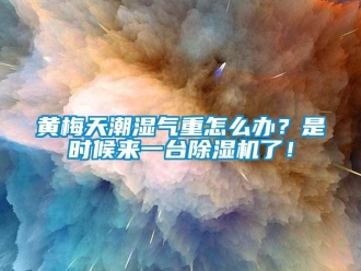常見問題黃梅天潮濕氣重怎么辦？是時候來一臺除濕機了！