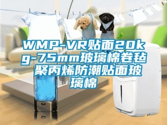 企業(yè)新聞WMP-VR貼面20kg-75mm玻璃棉卷氈 聚丙烯防潮貼面玻璃棉