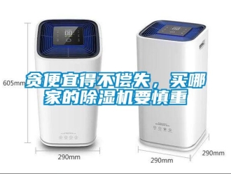 知識百科貪便宜得不償失，買哪家的除濕機要慎重