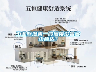 企業(yè)新聞工業(yè)除濕機一般濕度設置多少合適？