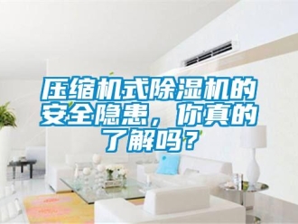 常見問題壓縮機式除濕機的安全隱患，你真的了解嗎？
