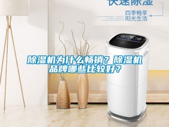 企業新聞除濕機為什么暢銷？除濕機品牌哪些比較好？