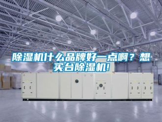 企業新聞除濕機什么品牌好一點啊？想買臺除濕機!