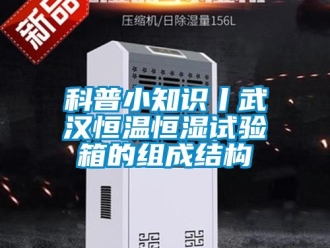 知識百科科普小知識丨武漢恒溫恒濕試驗(yàn)箱的組成結(jié)構(gòu)