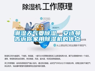 企業新聞潮濕天氣要除濕，安詩曼告訴你家用除濕機的優點