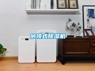 企業新聞吊頂式除濕機