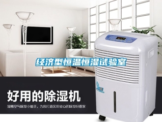 知識百科經濟型恒溫恒濕試驗室