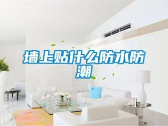常見問題墻上貼什么防水防潮