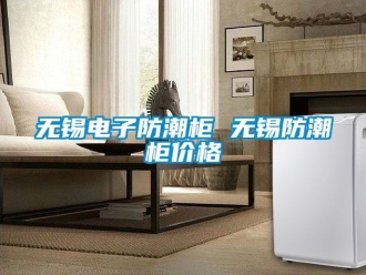 常見問(wèn)題無(wú)錫電子防潮柜 無(wú)錫防潮柜價(jià)格
