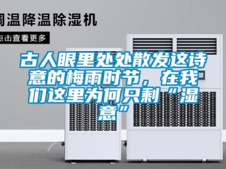 企業(yè)新聞古人眼里處處散發(fā)這詩意的梅雨時節(jié)，在我們這里為何只剩“濕意”