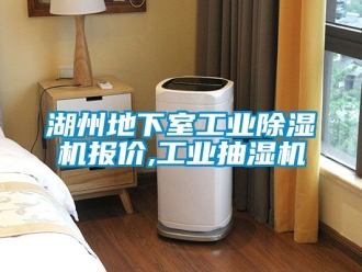 常見問題湖州地下室工業除濕機報價,工業抽濕機