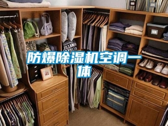企業(yè)新聞防爆除濕機(jī)空調(diào)一體