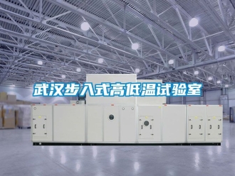 常見問題武漢步入式高低溫試驗室