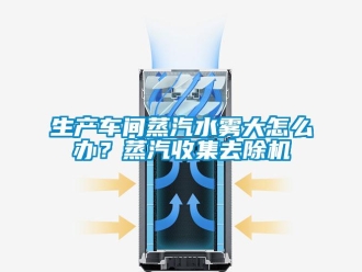 常見問題生產車間蒸汽水霧大怎么辦？蒸汽收集去除機