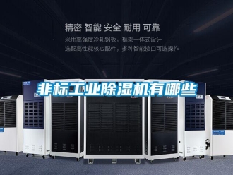 企業新聞非標工業除濕機有哪些