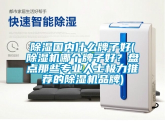 企業(yè)新聞除濕國內什么牌子好(除濕機哪個牌子好？盤點那些專業(yè)人士極力推薦的除濕機品牌)