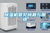 除濕機常見問題與用途