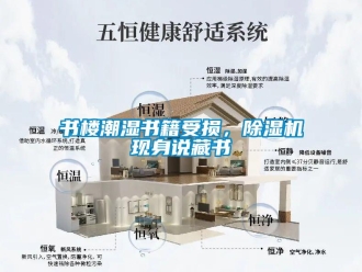 知識百科書樓潮濕書籍受損，除濕機現身說藏書