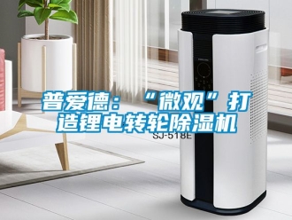常見問題普愛德：“微觀”打造鋰電轉(zhuǎn)輪除濕機(jī)