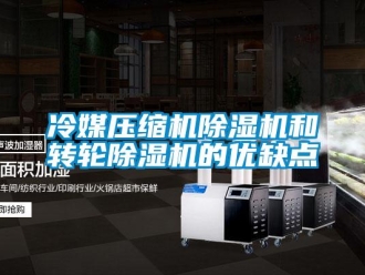 常見問題冷媒壓縮機除濕機和轉輪除濕機的優缺點