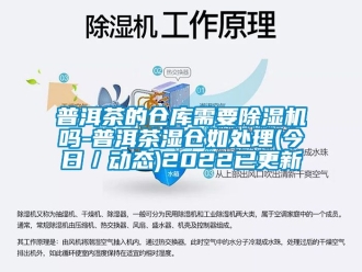 企業新聞普洱茶的倉庫需要除濕機嗎-普洱茶濕倉如處理(今日／動態)2022已更新