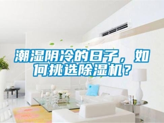 常見問題潮濕陰冷的日子，如何挑選除濕機？