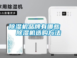 企業(yè)新聞除濕機品牌有哪些  除濕機選購方法