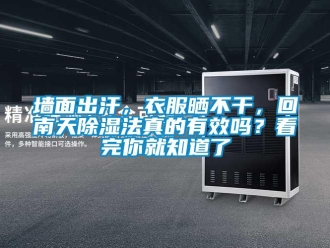 常見問題墻面出汗，衣服曬不干，回南天除濕法真的有效嗎？看完你就知道了