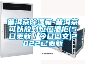 知識百科普洱茶除濕箱-普洱茶可以放到恒恒濕柜(5日更新／今日圖文)2022已更新