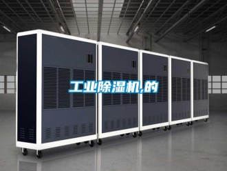 常見問題工業除濕機,的