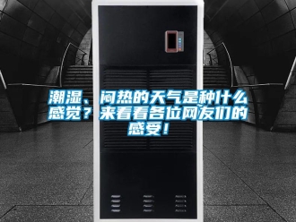 企業新聞潮濕、悶熱的天氣是種什么感覺？來看看各位網友們的感受！