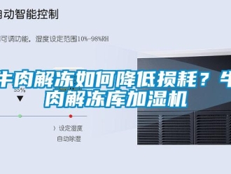 常見問題牛肉解凍如何降低損耗？牛肉解凍庫加濕機