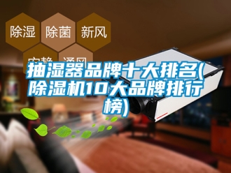 企業新聞抽濕器品牌十大排名(除濕機10大品牌排行榜)