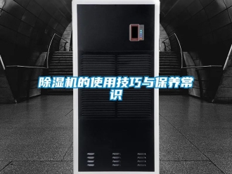 企業(yè)新聞除濕機(jī)的使用技巧與保養(yǎng)常識(shí)