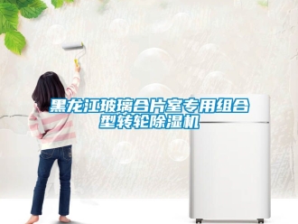 常見問題黑龍江玻璃合片室專用組合型轉輪除濕機